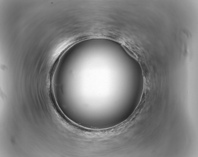 X0000091100005200708131114