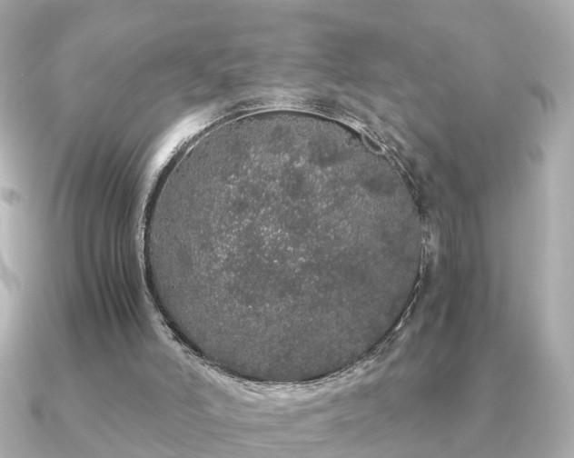 X0000091100006200708131114