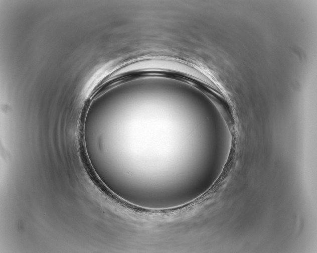 X0000091100007200708131114