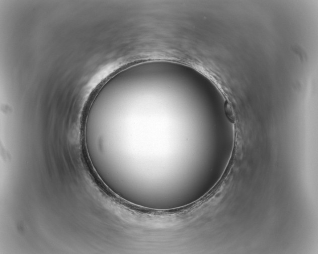 X0000091100008200708131114