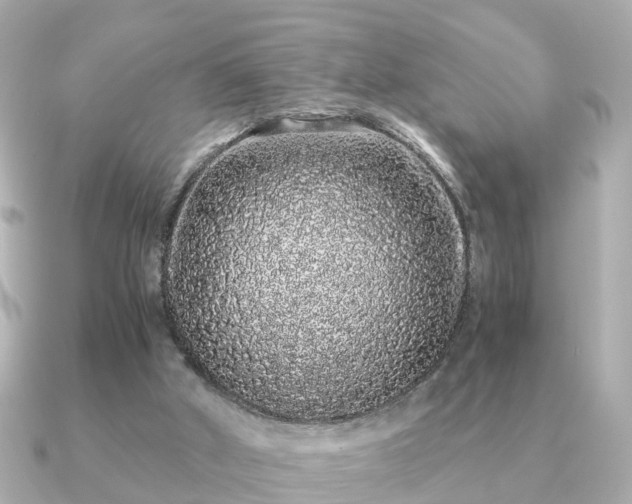 X0000091100010200708131114