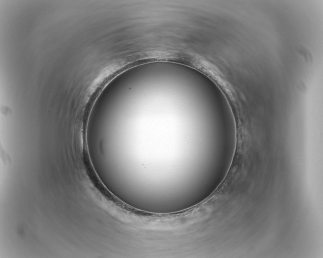 X0000091100011200708131114