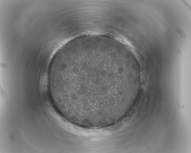 X0000091100012200708131114