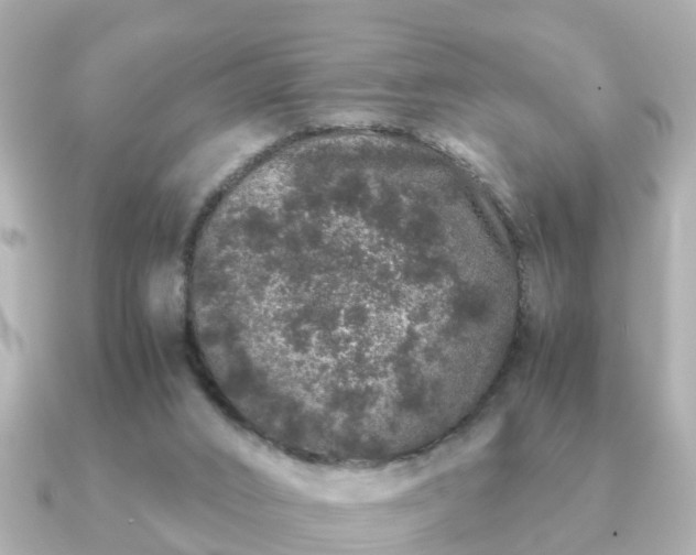 X0000091100016200708131114