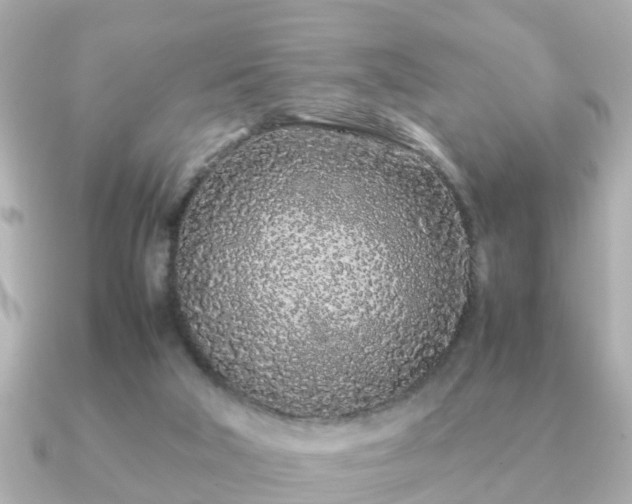 X0000091100018200708131114