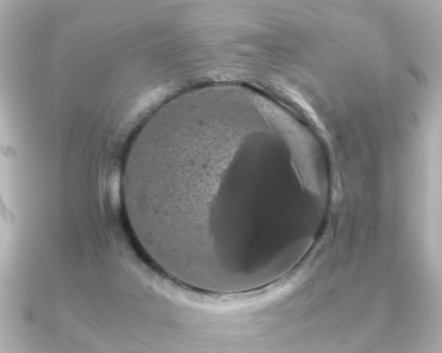 X0000091100019200708131114