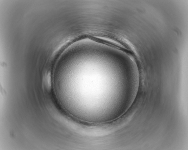 X0000091100020200708131114