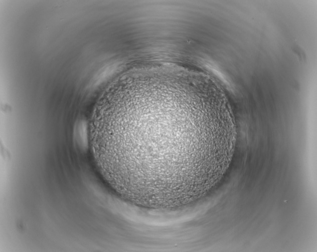 X0000091100022200708131114