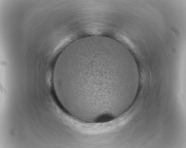 X0000091100023200708131114