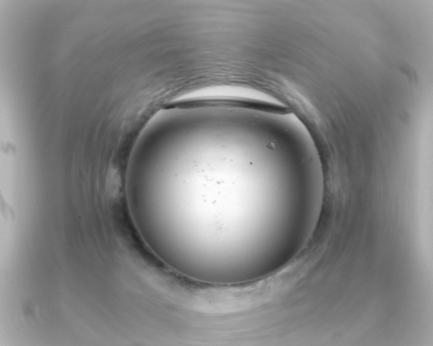 X0000091100025200708131114