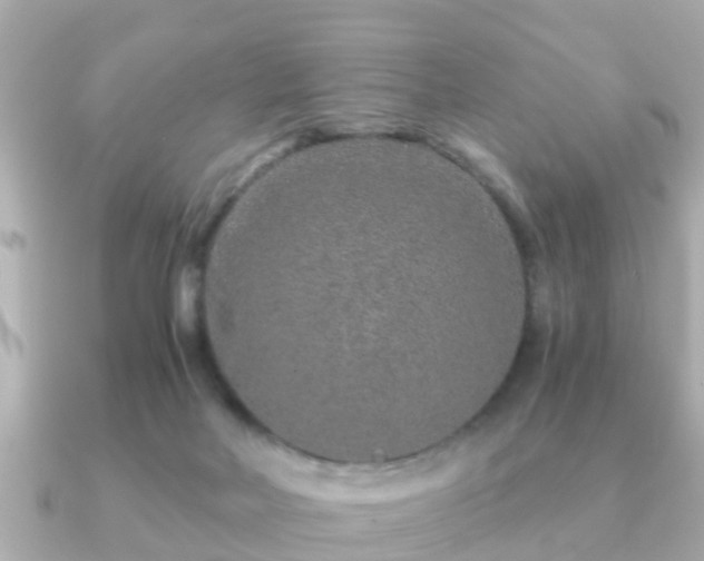 X0000091100026200708131114