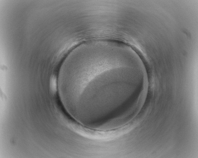 X0000091100027200708131114