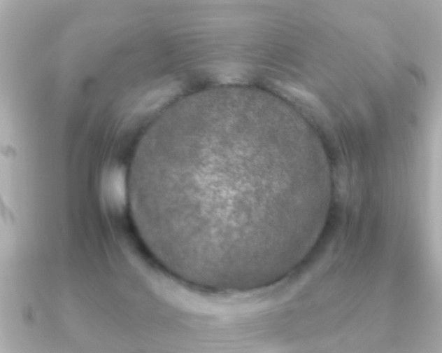 X0000091100028200708131114