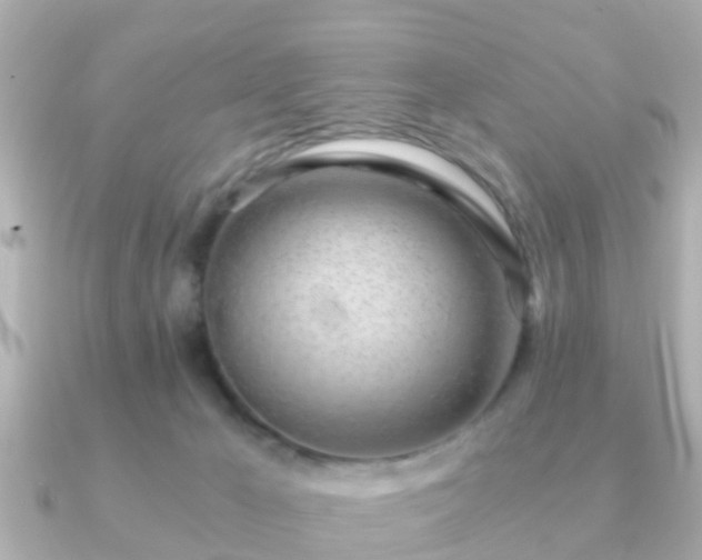 X0000091100029200708131114