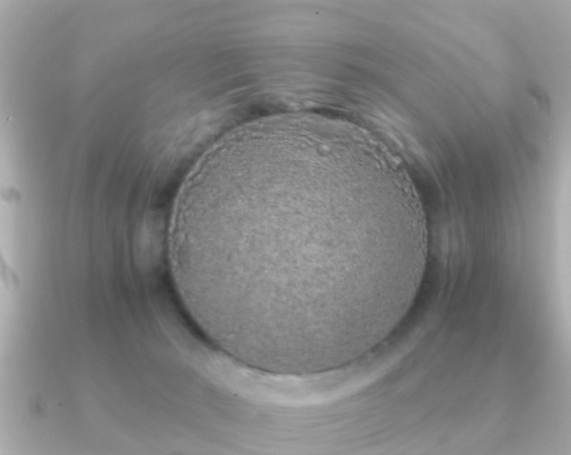 X0000091100030200708131114