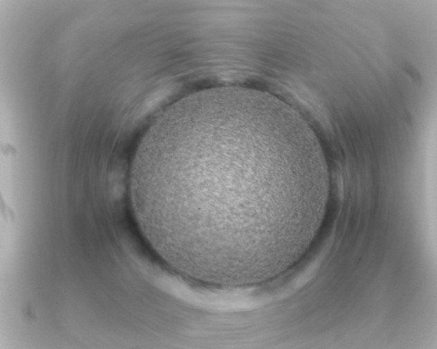 X0000091100032200708131114