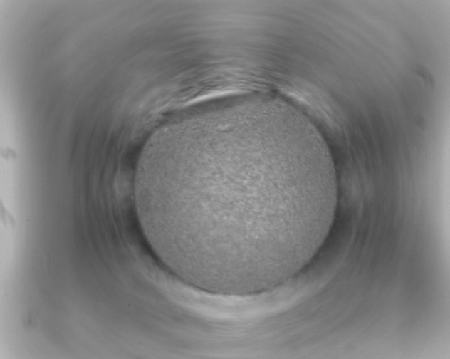 X0000091100034200708131114