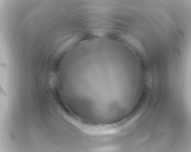 X0000091100036200708131114