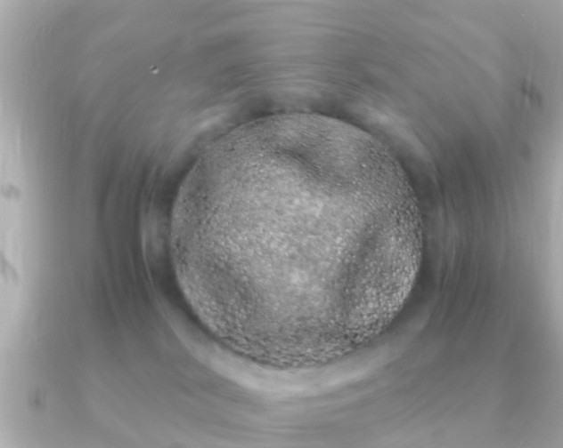 X0000091100038200708131114