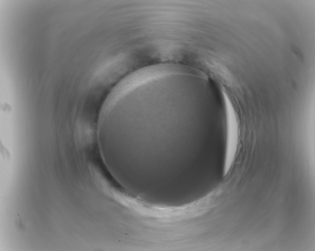 X0000091100039200708131114