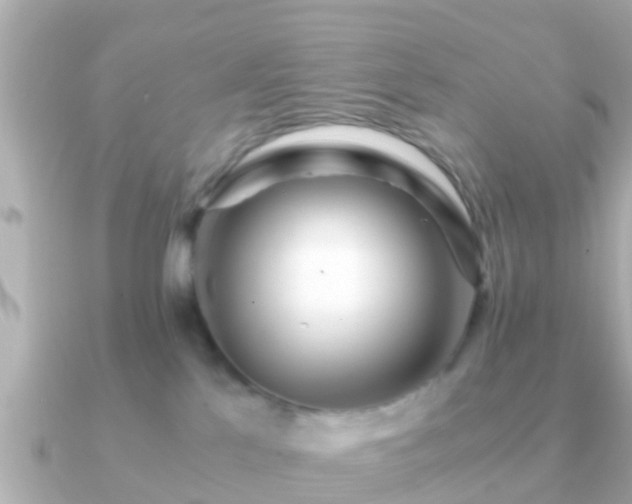 X0000091100041200708131114