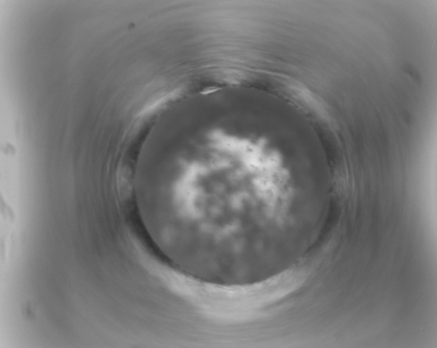 X0000091100043200708131114