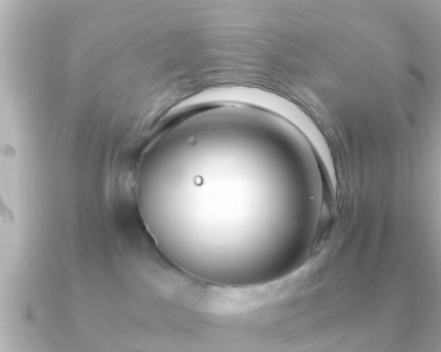 X0000091100045200708131114