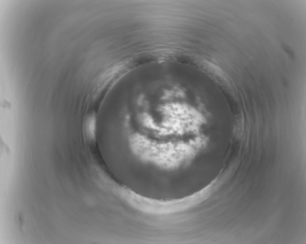 X0000091100047200708131114