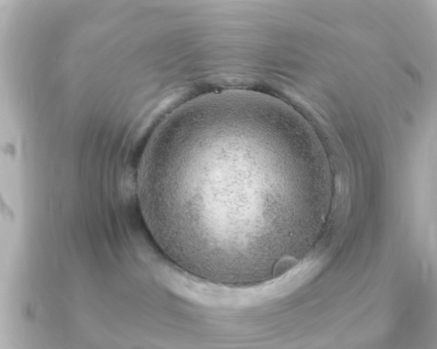 X0000091100048200708131114