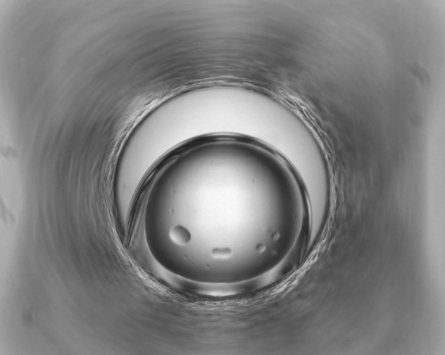 X0000091100049200708131113