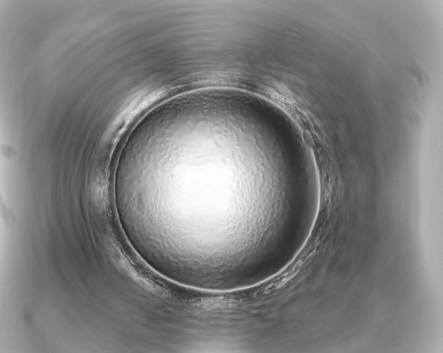 X0000091100050200708131113