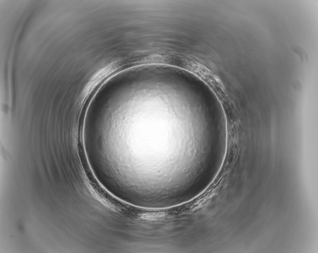 X0000091100051200708131113