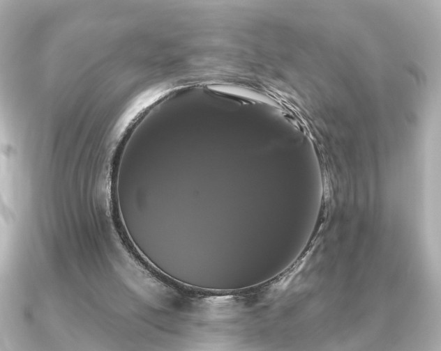 X0000091100054200708131113