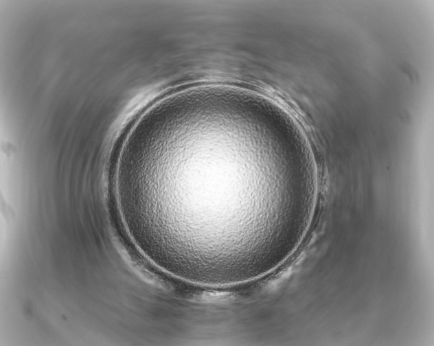 X0000091100055200708131113