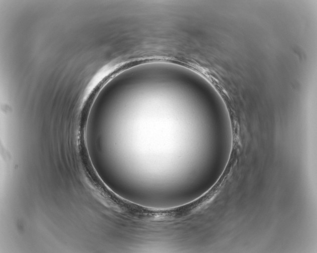 X0000091100056200708131113