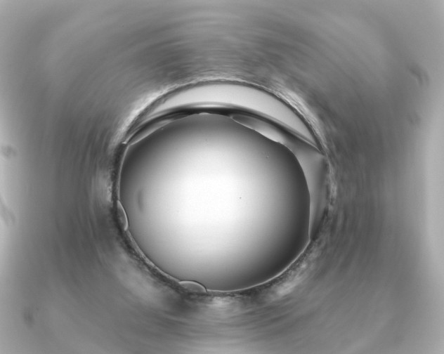 X0000091100060200708131113