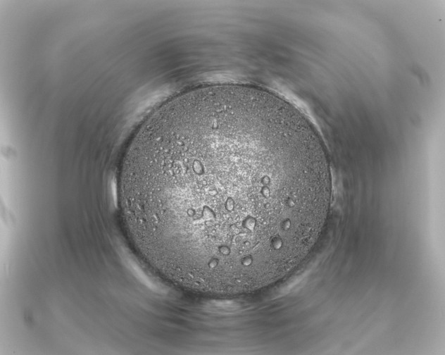 X0000091100061200708131113