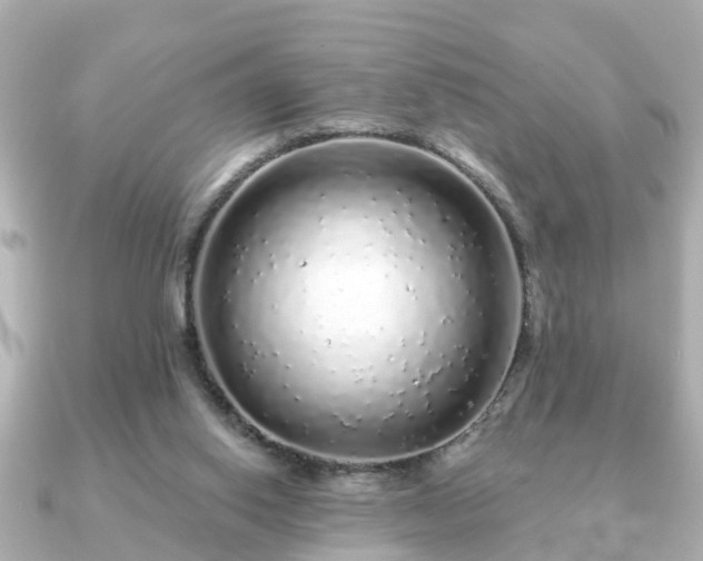 X0000091100062200708131113