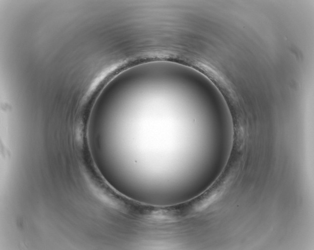 X0000091100064200708131113