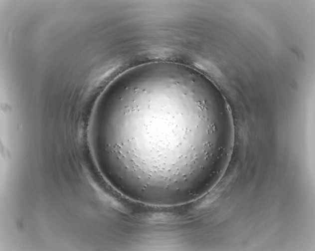 X0000091100066200708131113