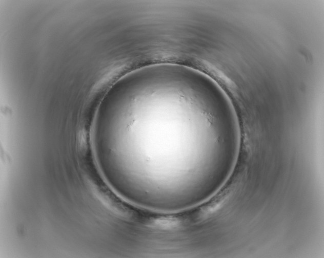 X0000091100067200708131113