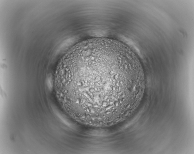 X0000091100069200708131114