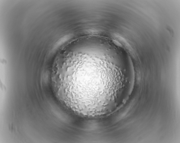 X0000091100071200708131114