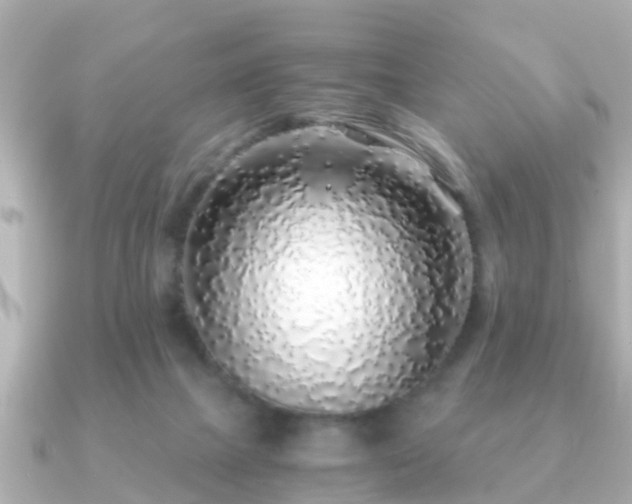 X0000091100073200708131114