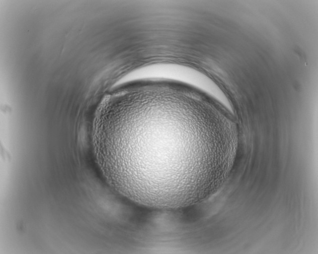 X0000091100074200708131114