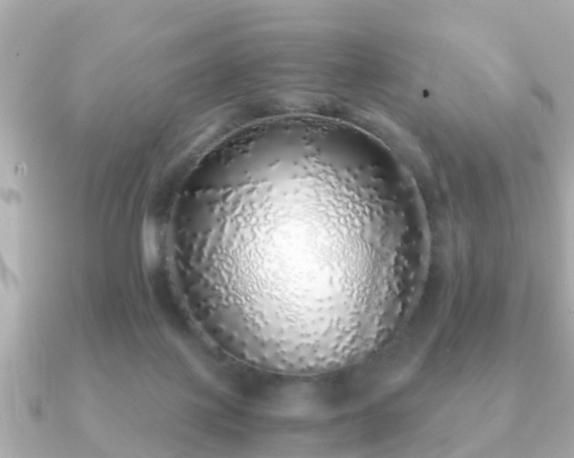 X0000091100075200708131114