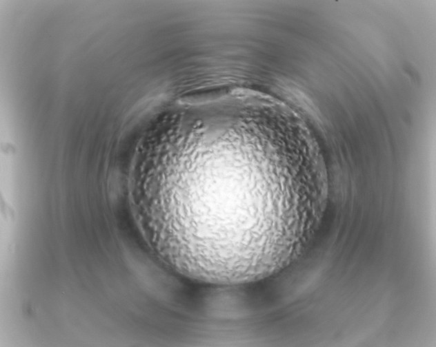 X0000091100077200708131114