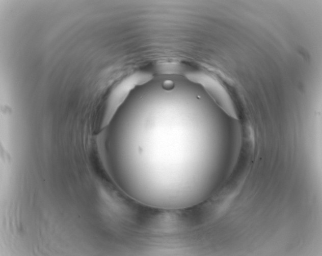 X0000091100080200708131114