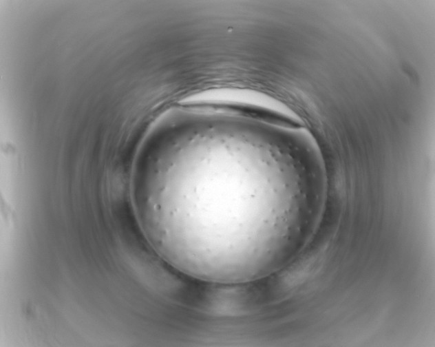 X0000091100081200708131114