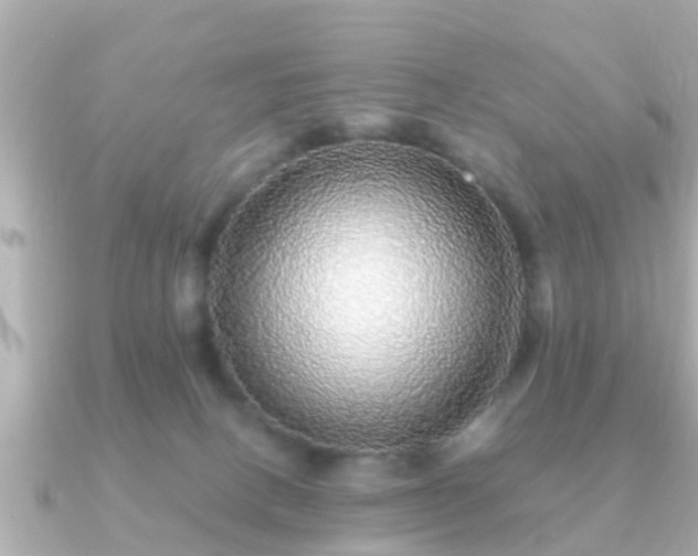 X0000091100082200708131114